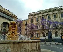 包含卡塔尼亚遭遇佛罗伦萨逆转，战绩岌岌可危的词条